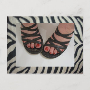 Jolies cartes postales Zebra