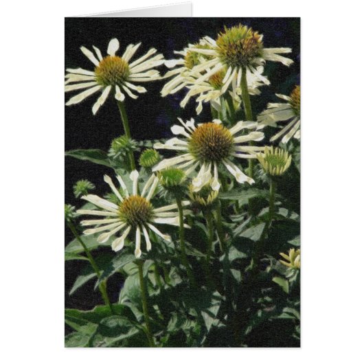 Jolies fleurs (Devant)