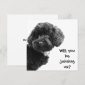 Jolies invitations de fête personnalisées pour Can (Devant / Derrière)