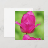Jolies invitations de tulipes (Devant / Derrière)