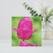 Jolies invitations de tulipes (Debout devant)