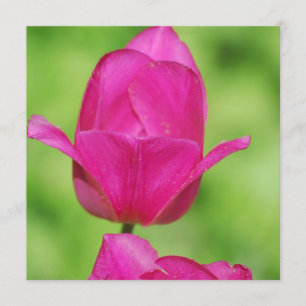 Jolies invitations de tulipes