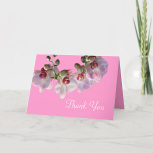 jolies orchidées roses fleurs roses merci