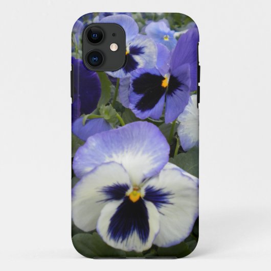 Jolies Pansies Périwinkle IPhone 5 Coque (Dos)