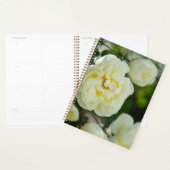 Jolies roses blanches pour positif   (Devant avec enveloppe)