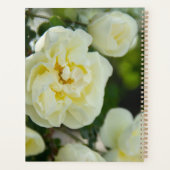 Jolies roses blanches pour positif   (Dos)