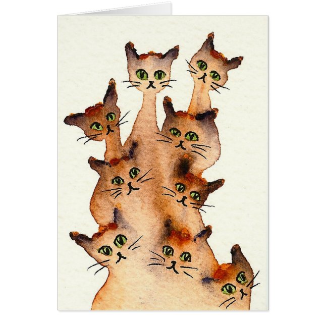 Joliet Whimsical Cats (Voorkant)