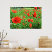 JOLIMENT FLEURS POSTER POPIES ROUGES (Cuisine)