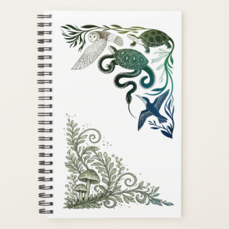 Jolis animaux de forêt Chouette & Tortue Illustrat