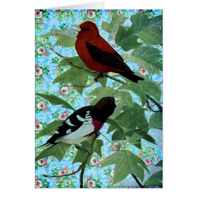 Jolis oiseaux de jour (Devant)