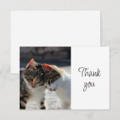 Jolis petits chatons mignons Merci (Devant / Derrière)