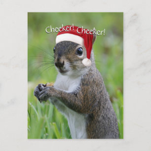 Jolly Florida Santa Squirrel™ met Santa Hat Feestdagenkaart