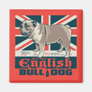 Jolly Goede Engelse Bulldog Magneet