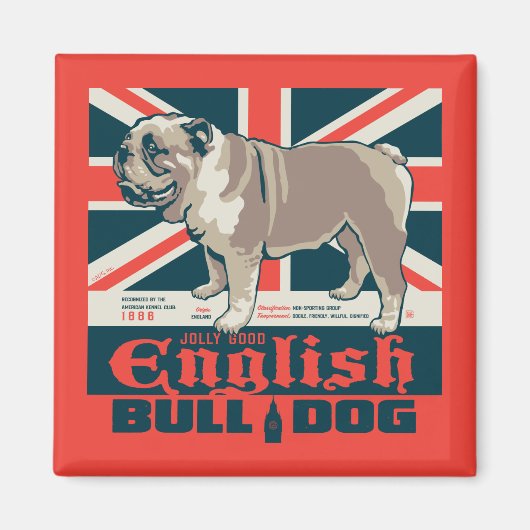 Jolly Goede Engelse Bulldog Magneet (Voorkant)