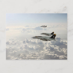 Jolly Rogers Briefkaart