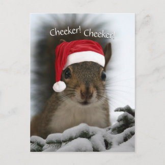 Jolly Squirrel Dearing Santa Hat · Santa Squirrel Feestdagenkaart