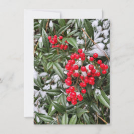 Jolly Winter Berry Kerstseizoen wenskaart