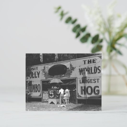 Jolly World's Grootste Hog Carnaval Foto Feestdagenkaart (Staand voorkant)
