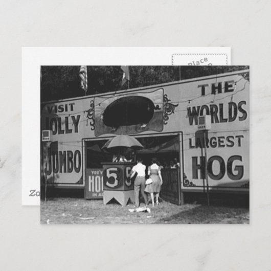 Jolly World's Grootste Hog Carnaval Foto Feestdagenkaart (Voorkant / Achterkant)