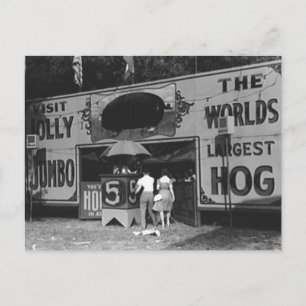 Jolly World's Grootste Hog  Carnaval Foto Feestdagenkaart