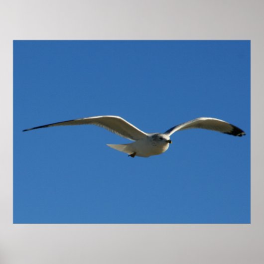 Jonathan Poster (Voorkant)