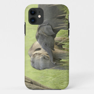 Jong dier van Indische / Aziatische Olifant iPhone 11 Hoesje