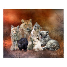 Jong en Wilde Kunst Poster/Druk