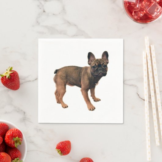 Jong Franse Bulldog met Vossenkleur Servet (Insitu)