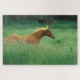 Jong hengst rent door weide legpuzzel