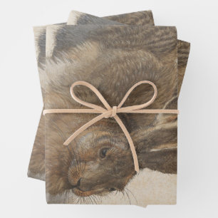 Jong konijn van Albrecht Dürer, Renaissance-schild Inpakpapier Vel