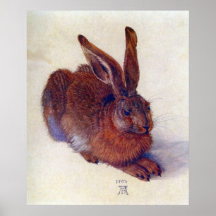 Jong konijn van Albrecht Durer, Renaissance-schild Poster
