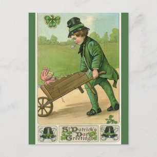  Jong Man en Varken St Patricks Groet Briefkaart