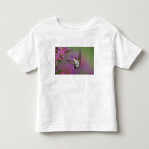 Jong mannelijke Robijnkeelkolibrie Kinder Shirts