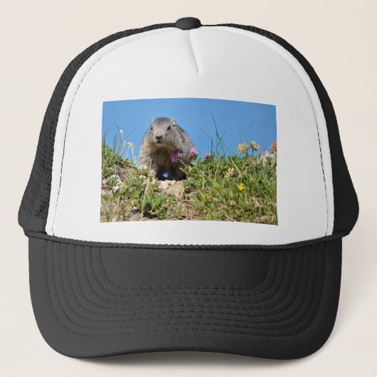 Jonge Alpenmarmot Trucker Pet (Voorkant)