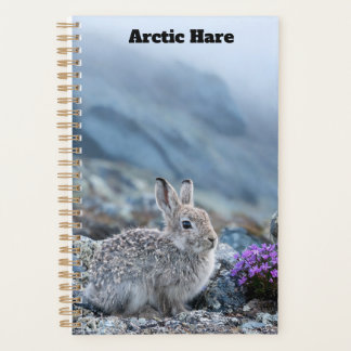 Jonge Arctische Haas Planner
