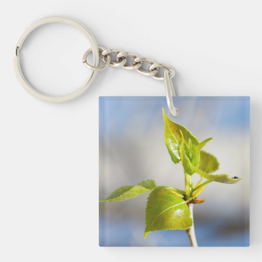 Jonge bladeren sleutelhanger (Voorkant)