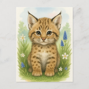 Jonge Bobcat Kitten Kat Baby Wilde Dieren Briefkaa Briefkaart
