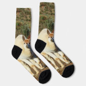 Jonge bruine en witte alpaca's, Sokken van Crewy (Rechts)