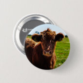 Jonge bruine Koe in het veld Pasture Ronde Button 5,7 Cm (Voorkant /achterkant)