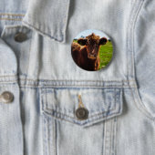 Jonge bruine Koe in het veld Pasture Ronde Button 5,7 Cm (In situ)