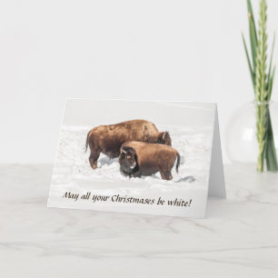 Jonge Buffalo of Bison met ouders Kaart