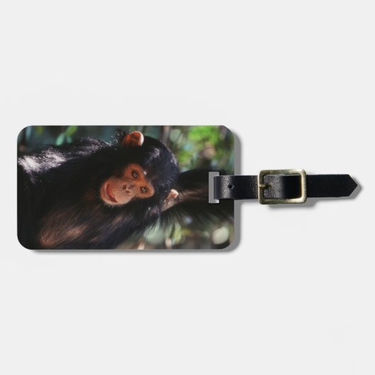 jonge chimpansee bagagelabel (Voorkant horizontaal)