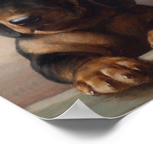 Jonge Dachshund | Carl Reichert Poster (Hoek)