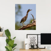 Jonge Een Poster (Thuiskantoor)