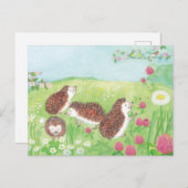 Jonge egel in de Meadow Briefkaart (Voorkant / Achterkant)