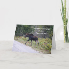 Jonge eland op de verjaardag van opa kaart