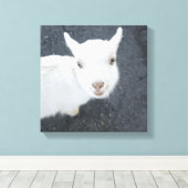 Jonge geiten canvas afdruk (Insitu (Houten vloer))