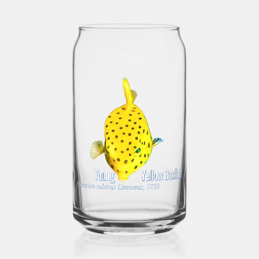 Jonge Gele Boxfish Blikvorm Glas (Voorkant)
