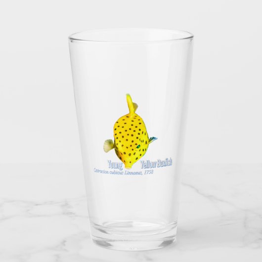 Jonge Gele Boxfish Glas (Voorkant)