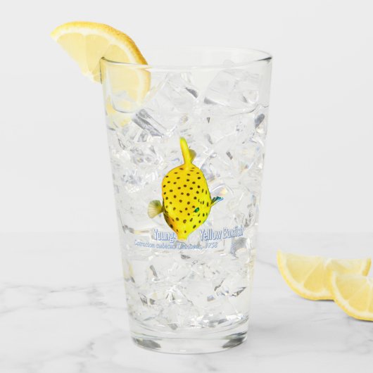 Jonge Gele Koetsvis Glas (Voorkant ijs)